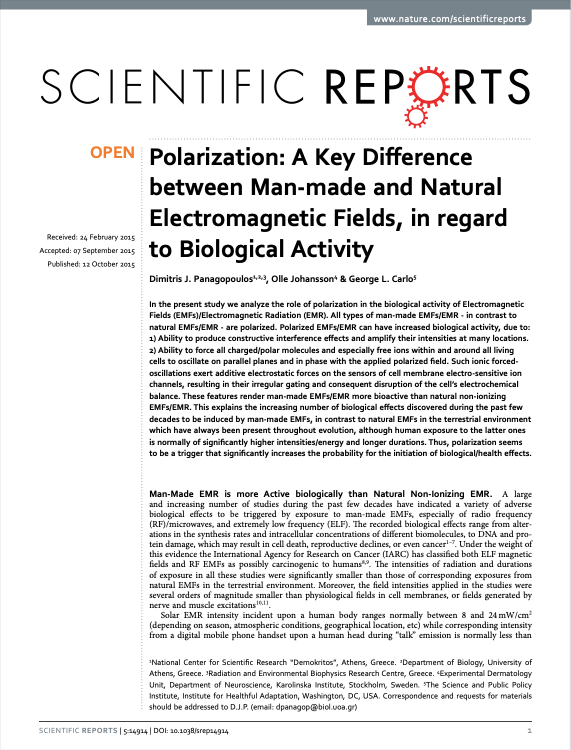 Captura de pantalla 2025-03-04 a la(s) 4.25.31 p.m.